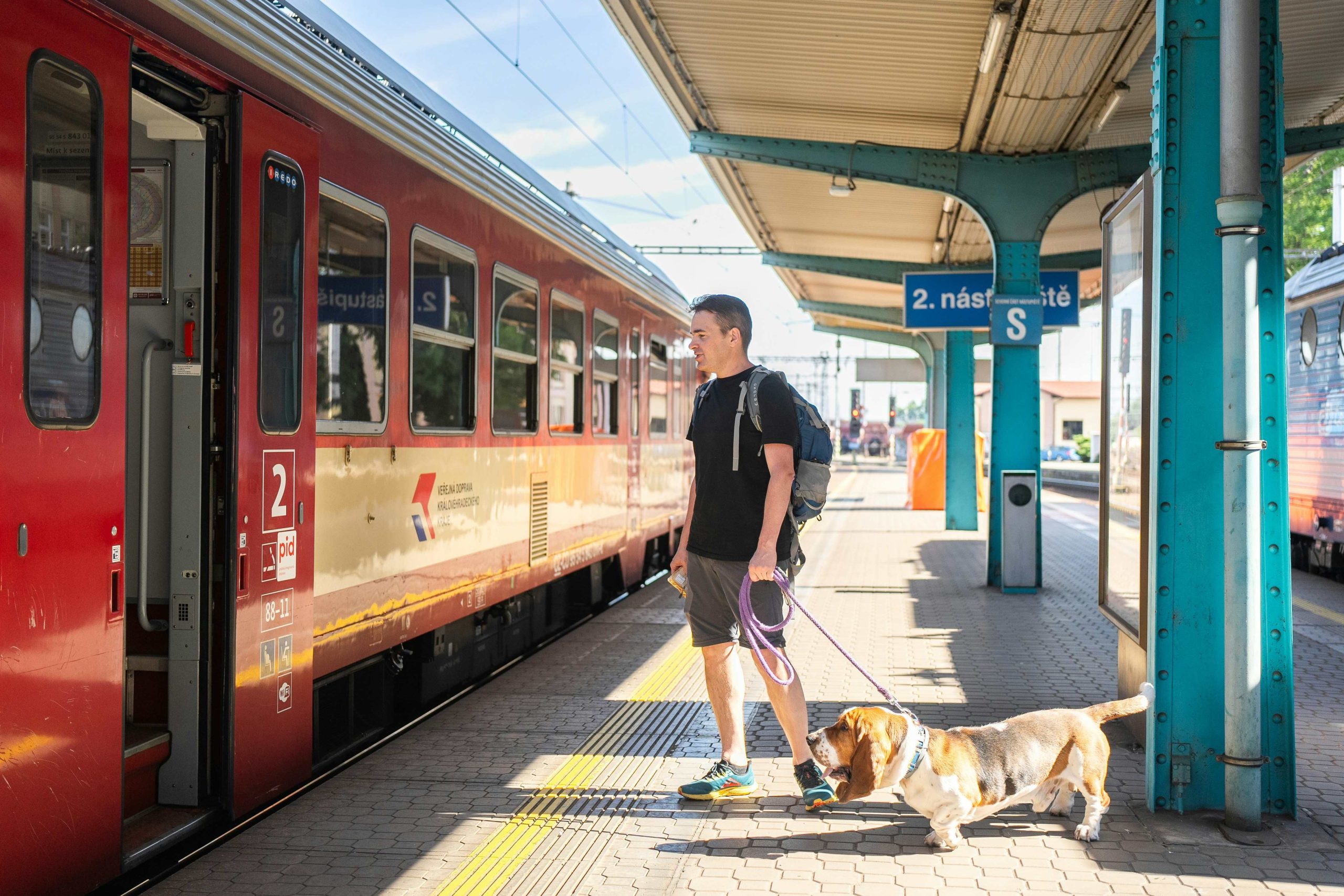 Chien en laisse dans une gare devant un train dans un environnement urbain très stimulant