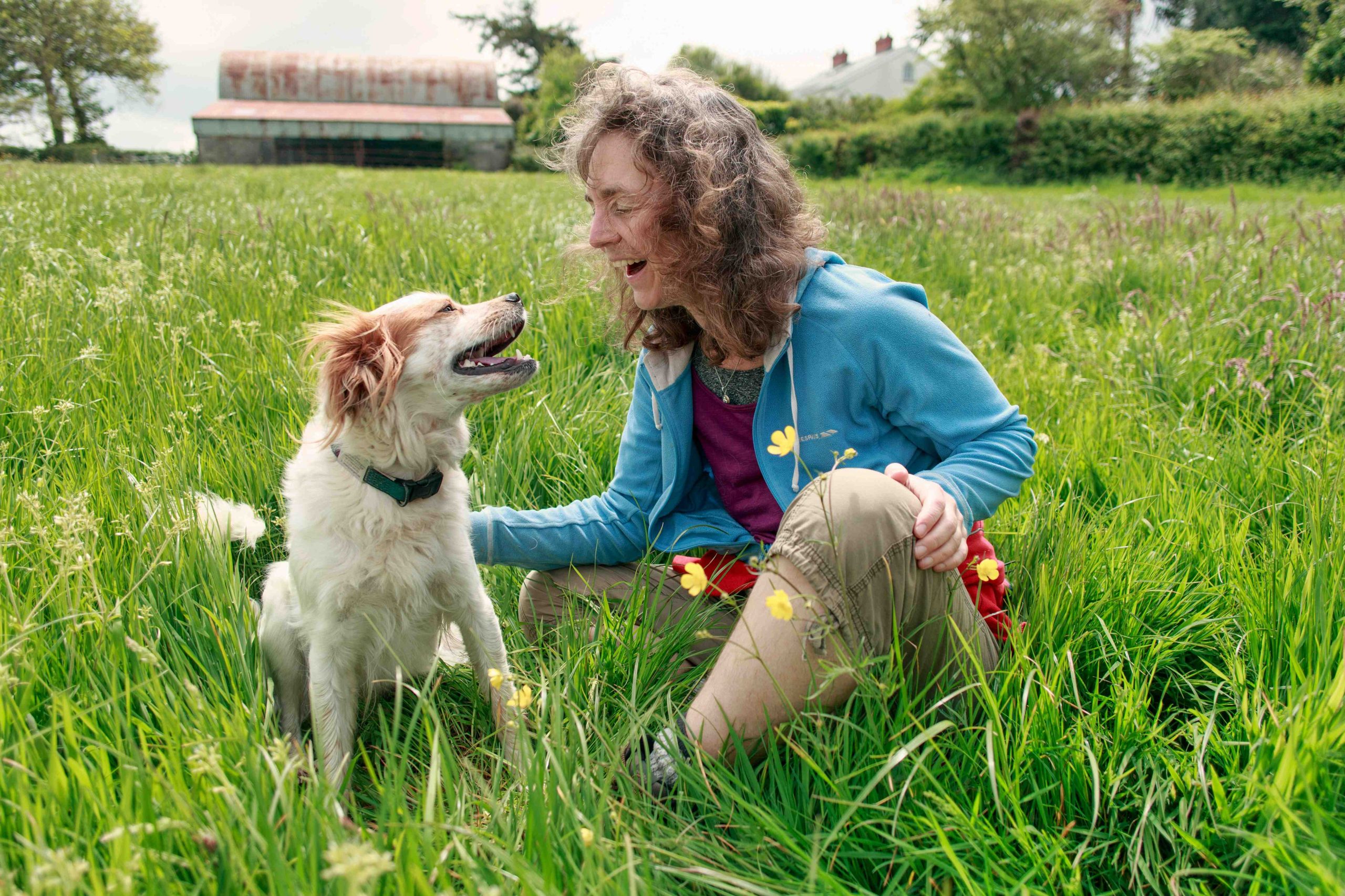 chien et humain en interactions calme dans un environnement apaisant favorisant la régulation émotionnelle